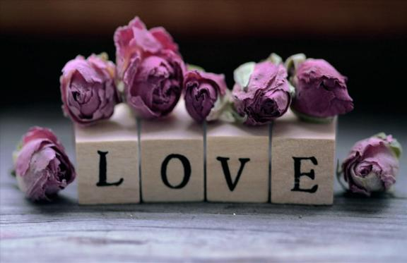 毒药星座 毒药星座