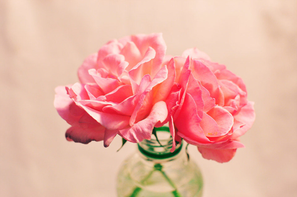 星座旧爱 星座旧爱