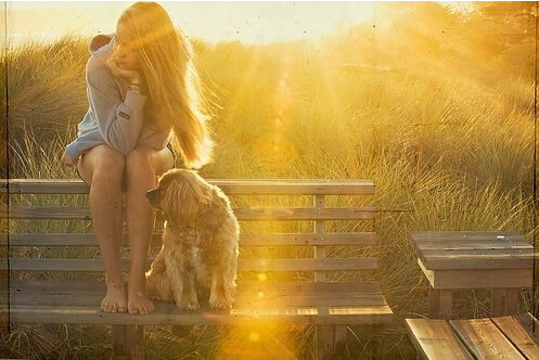 下半年桃花运有所好转的星座 下半年桃花运有所好转的星座