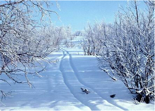 十二星座下周的健康运势如何? 十二星座下周的健康运势如何?