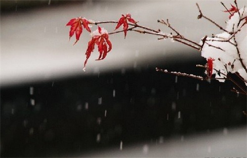 十二星座下周的健康运势如何? 十二星座下周的健康运势如何?