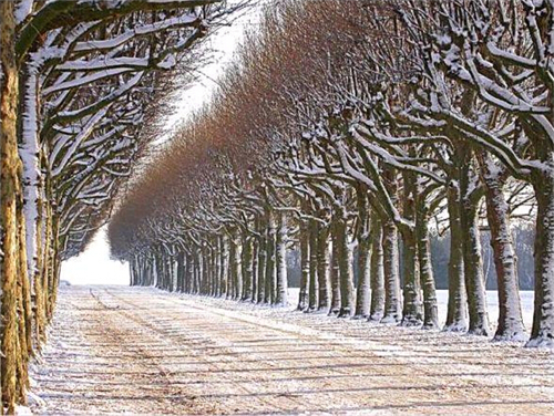 十二星座下周的健康运势如何? 十二星座下周的健康运势如何?