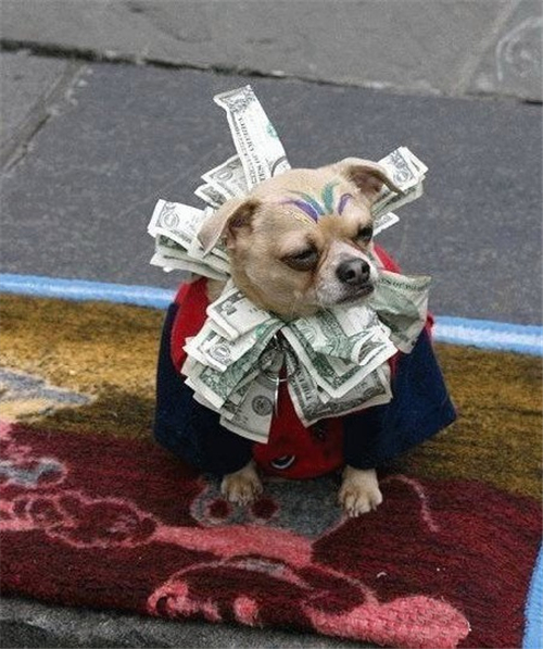 有钱却很小气的星座 有钱却很小气的星座