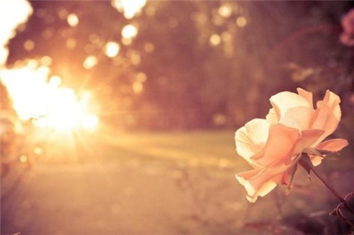 啥星座最爱争强好胜 啥星座最爱争强好胜