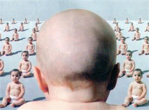 后脑勺有反骨是人才! 后脑勺有反骨是人才!