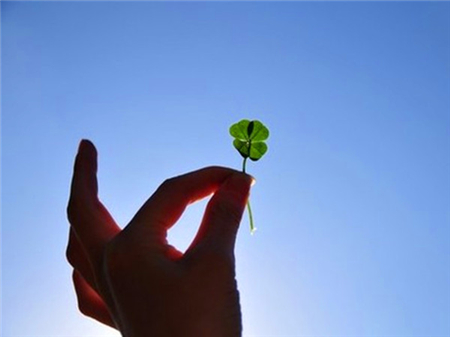 最难走进内心的星座 最难走进内心的星座