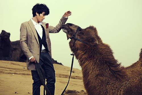 便利贴男孩的星座 便利贴男孩的星座