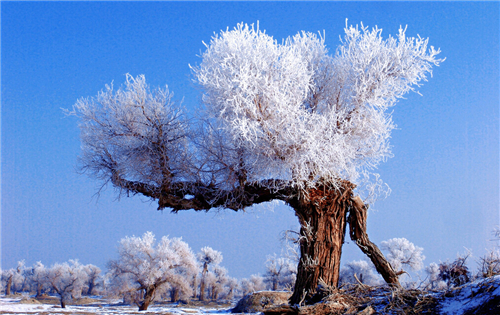 12星座冬季财运榜 12星座冬季财运榜