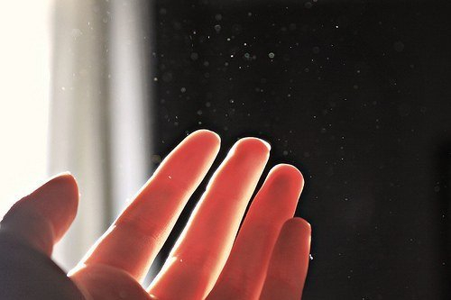 爱情中偏科的星座 爱情中偏科的星座