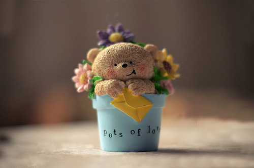 冬季财运旺的星座排行 冬季财运旺的星座排行