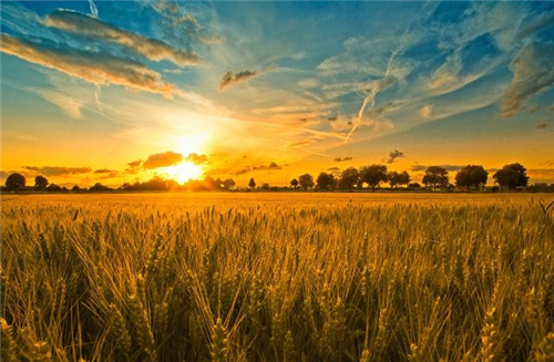 2016年射手座1月展望 2016年射手座1月展望