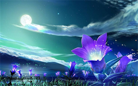 二月新春12星座的运势 二月新春12星座的运势