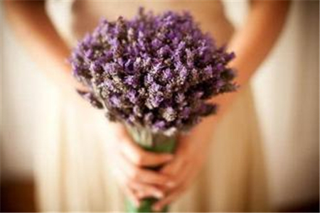 钝感力强的好运星座 钝感力强的好运星座