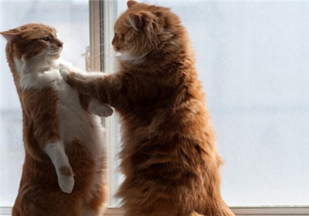 报复心理超强的星座 报复心理超强的星座