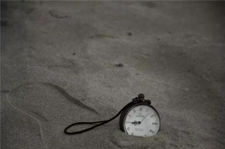 猴年星座都缺些什么 猴年星座都缺些什么