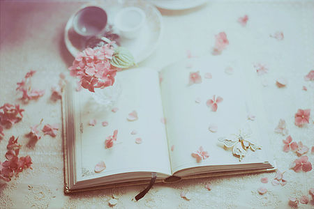 人生最爱作的星座 人生最爱作的星座