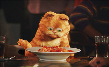 12星座该如何食来运转 12星座该如何食来运转