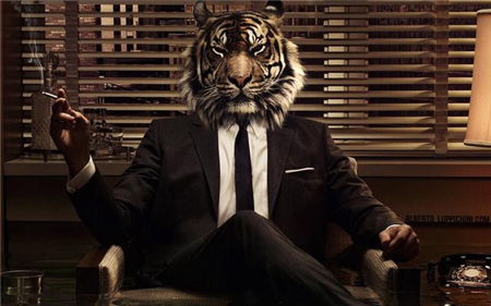 最容易当老板的星座 最容易当老板的星座