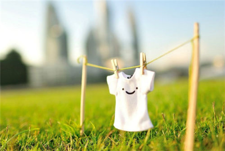 猴年好运找上门的生肖 猴年好运找上门的生肖