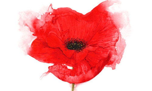 属马人出生月的命运